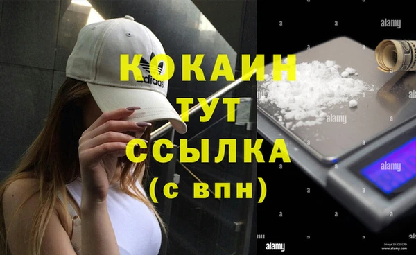 твердый Горно-Алтайск