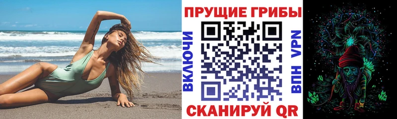 Галлюциногенные грибы прущие грибы  Чернушка 